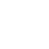 AI Icon